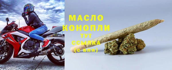 СК Алексин