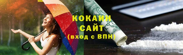 СК Алексин