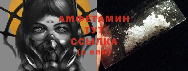 СК Алексин