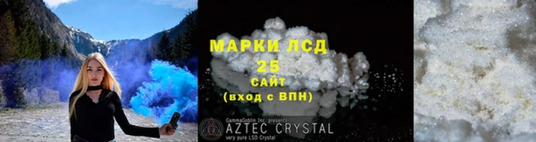 СК Алексин