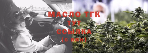 СК Алексин