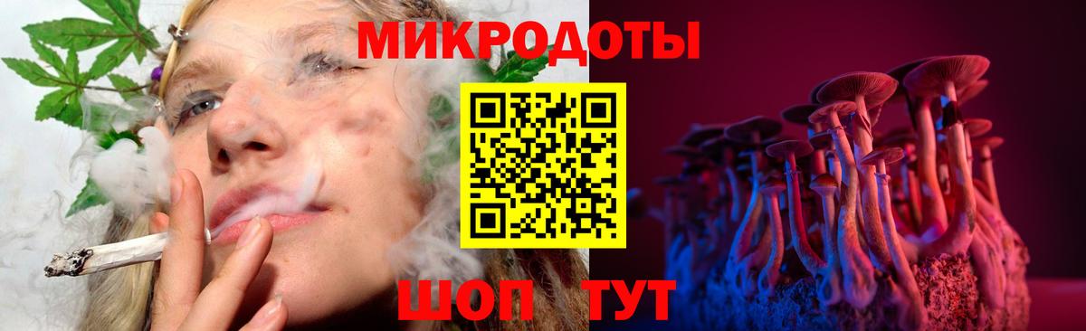Пенза  Галлюциногенные грибы MAGIC MUSHROOMS  Вход с VPN 